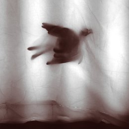 Ostermeier Tiny Birds James Luckett consumptive dot org